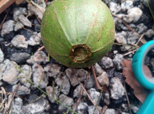 Foto de Desconhecido
