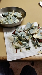 Butyriboletus autumniregius