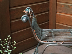 Lampropeltis pyromelana