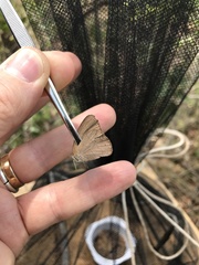 Nhambikuara cerradensis