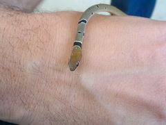 Platyceps collaris