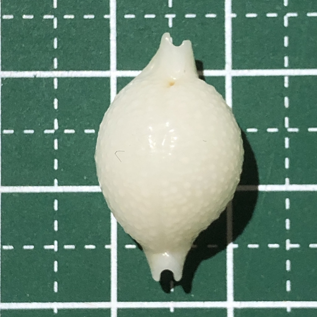 high-bridge chickpea cowrie