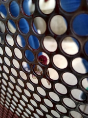 Psectrotarsia euposis