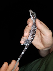 Cyrtodactylus consobrinus