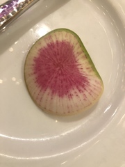 Raphanus sativus sativus