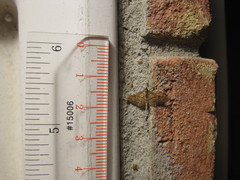 Ommatospila narcaeusalis