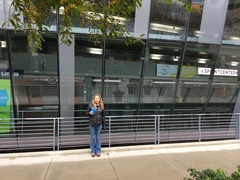 Zonotrichia albicollis