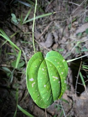 © Zac Peterson, some rights reserved (CC-BY-NC)