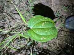 © Zac Peterson, some rights reserved (CC-BY-NC)