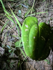 © Zac Peterson, some rights reserved (CC-BY-NC)