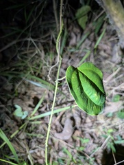 © Zac Peterson, some rights reserved (CC-BY-NC)