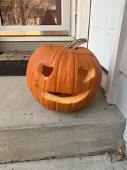 Cucurbita maxima maxima