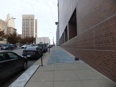 Leiothlypis ruficapilla