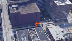 Leiothlypis ruficapilla