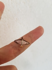 Diaphania hyalinata