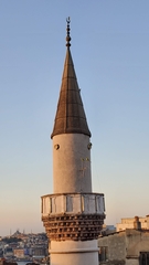 Psittacula krameri