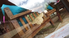 Herochroma urapteraria