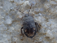 (c) James Tweed, some rights reserved (CC BY-NC), uploaded by James Tweed