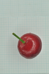 Syzygium tripinnatum