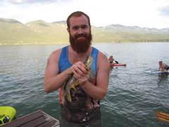 Ptychocheilus oregonensis