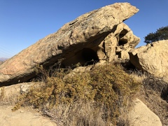 Deinandra minthornii