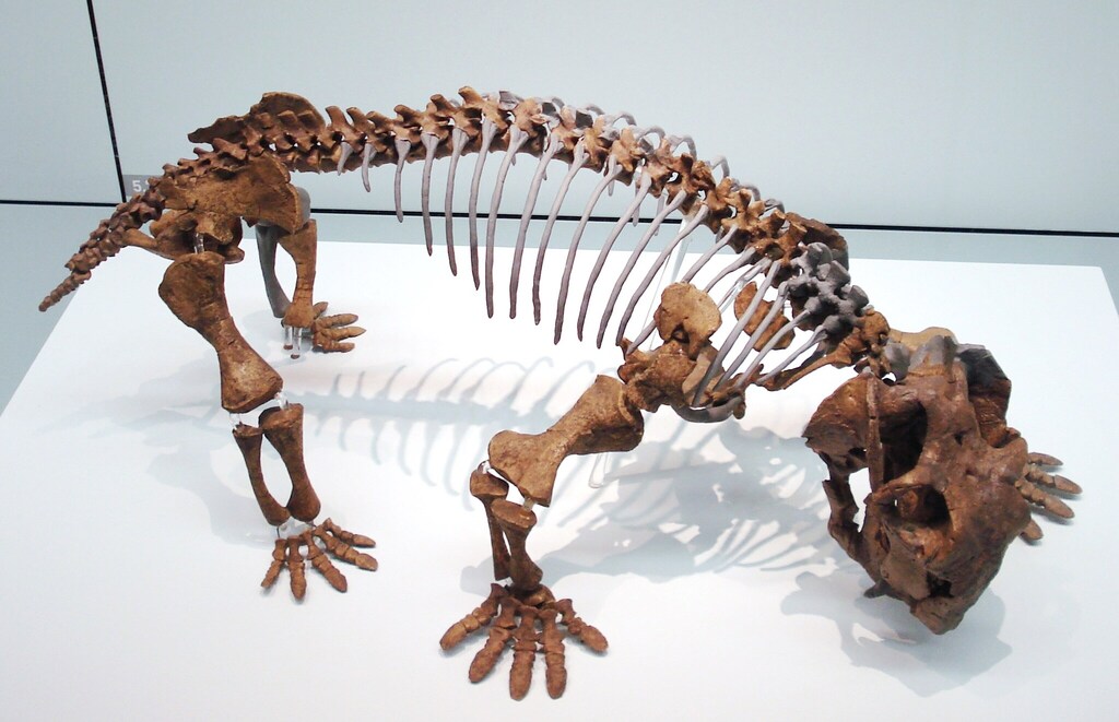 Lystrosaurus