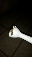 Centruroides sculpturatus