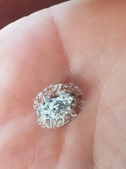 Emcephalus floccosus