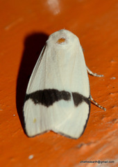 Vamuna remelana