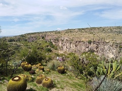 Kroenleinia grusonii