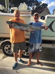 Scomberomorus cavalla