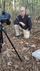 Lactarius quietus incanus