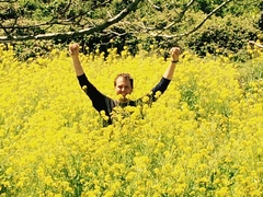 Rübsen (Pflanze) (Brassica rapa): Herkunft und Verwendung — Foto 3