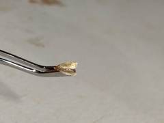 Crocidophora tuberculalis