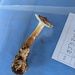 Squamanita umbonata