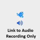 Eleutherodactylus campi