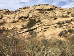 Deinandra minthornii