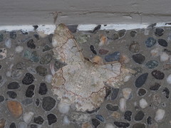 Pingasa ruginaria pacifica