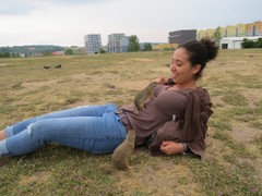 Spermophilus citellus