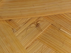 Spermophora senoculata