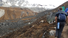 Tetraogallus tibetanus