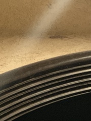 Hemidactylus turcicus