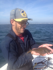 Psettichthys melanostictus