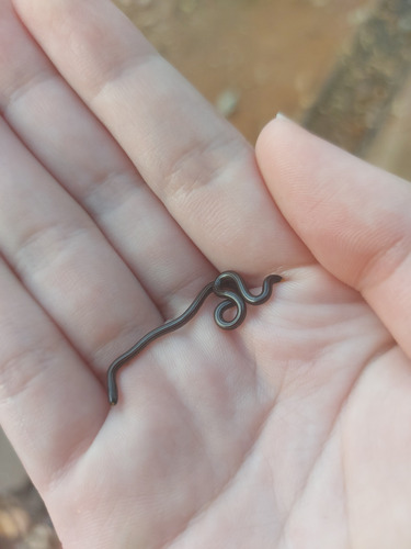 Epictia clinorostris