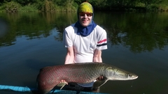 Arapaima gigas