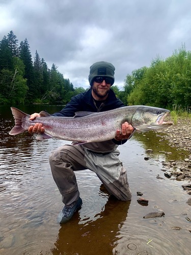 Sakhalin taimen (Parahucho perryi) — Salmonidae — 3