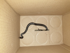 Elapsoidea boulengeri