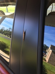 Leptysma marginicollis