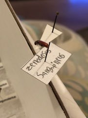 Zenodosus sanguineus