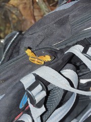 Eresia eunice olivencia